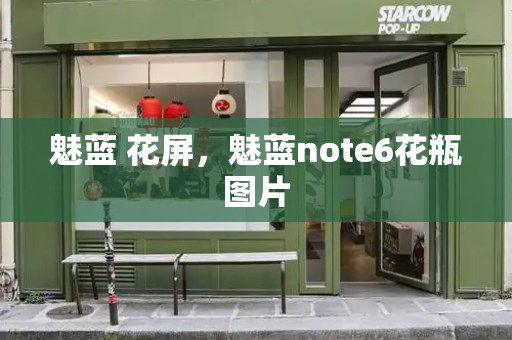魅蓝 花屏，魅蓝note6花瓶图片-第1张图片-星选测评