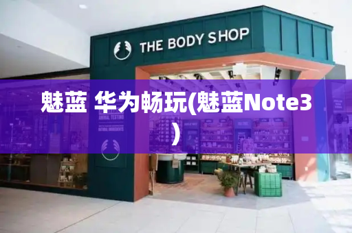 魅蓝 华为畅玩(魅蓝Note3)