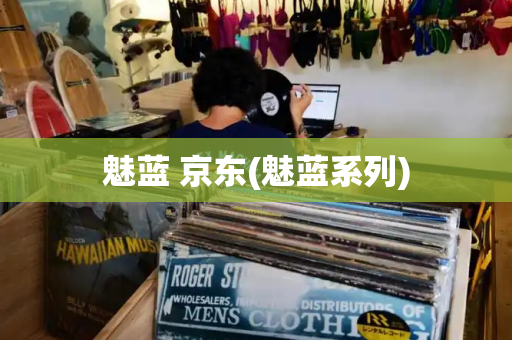 魅蓝 京东(魅蓝系列)