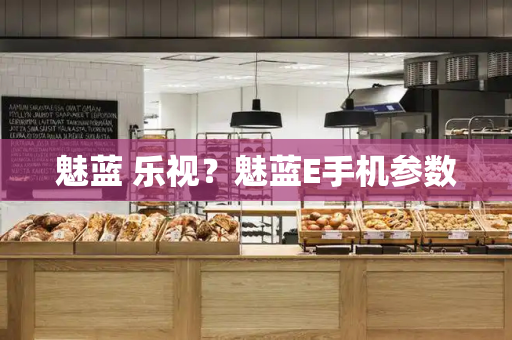魅蓝 乐视？魅蓝E手机参数-第1张图片-星选测评