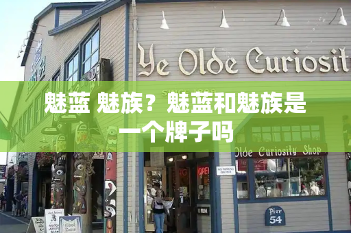 魅蓝 魅族？魅蓝和魅族是一个牌子吗-第1张图片-星选测评