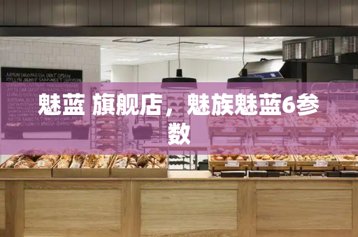 魅蓝 旗舰店，魅族魅蓝6参数