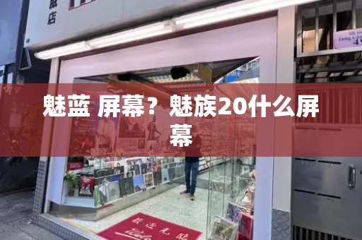 魅蓝 屏幕？魅族20什么屏幕-第1张图片-星选测评
