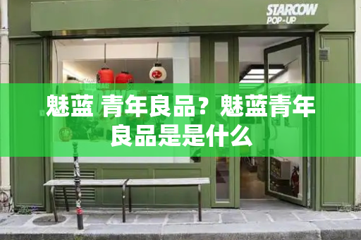魅蓝 青年良品？魅蓝青年良品是是什么-第1张图片-星选测评