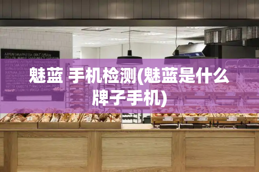 魅蓝 手机检测(魅蓝是什么牌子手机)