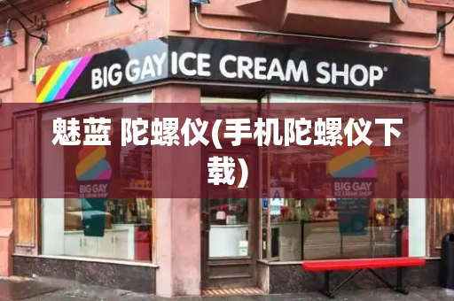 魅蓝 陀螺仪(手机陀螺仪下载)