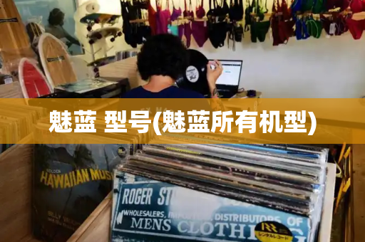 魅蓝 型号(魅蓝所有机型)-第1张图片-星选测评