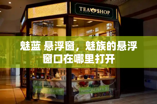 魅蓝 悬浮窗，魅族的悬浮窗口在哪里打开