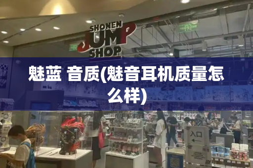 魅蓝 音质(魅音耳机质量怎么样)