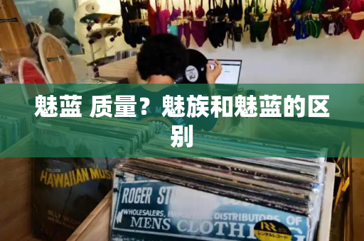 魅蓝 质量？魅族和魅蓝的区别