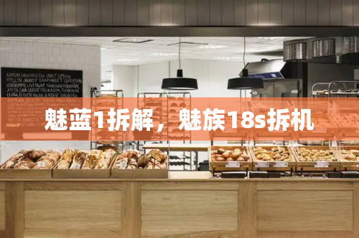 魅蓝1拆解，魅族18s拆机
