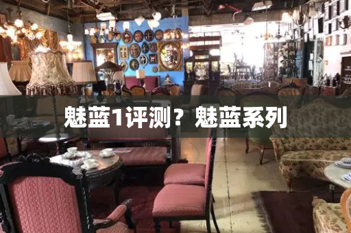 魅蓝1评测？魅蓝系列-第1张图片-星选测评