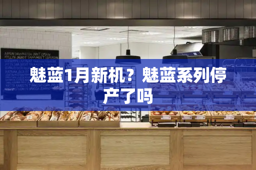 魅蓝1月新机？魅蓝系列停产了吗