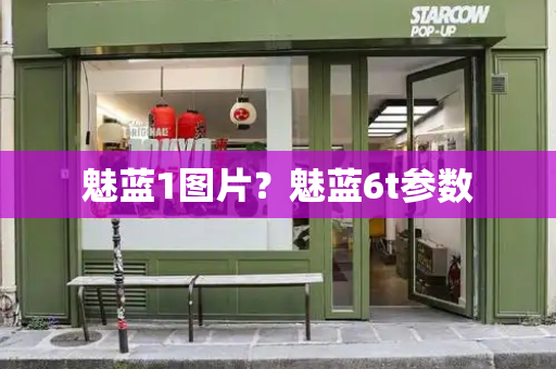 魅蓝1图片？魅蓝6t参数-第1张图片-星选测评
