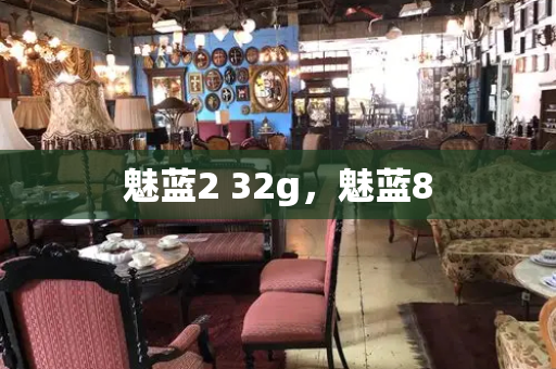 魅蓝2 32g，魅蓝8-第1张图片-星选测评