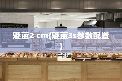 魅蓝2 cm(魅蓝3s参数配置)-第1张图片-星选测评