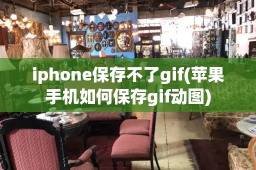 iphone保存不了gif(苹果手机如何保存gif动图)-第1张图片-星选测评