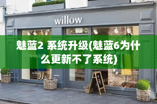 魅蓝2 系统升级(魅蓝6为什么更新不了系统)-第1张图片-星选测评