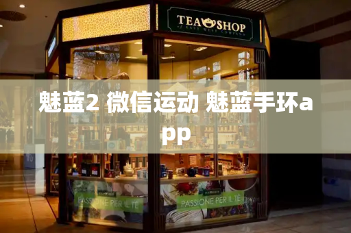 魅蓝2 微信运动 魅蓝手环app-第1张图片-星选测评