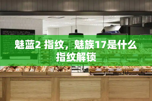 魅蓝2 指纹，魅族17是什么指纹解锁