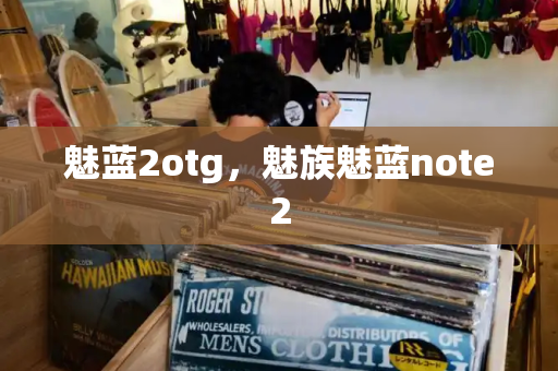 魅蓝2otg，魅族魅蓝note2-第1张图片-星选测评