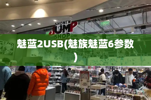 魅蓝2USB(魅族魅蓝6参数)