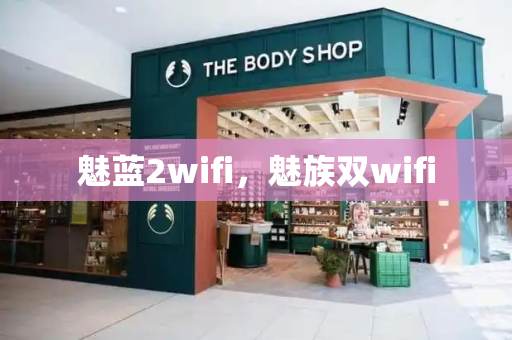 魅蓝2wifi，魅族双wifi-第1张图片-星选测评