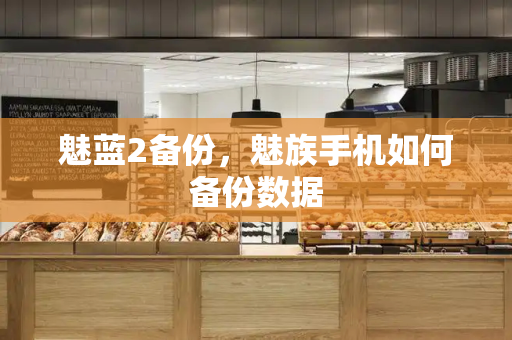 魅蓝2备份，魅族手机如何备份数据-第1张图片-星选测评