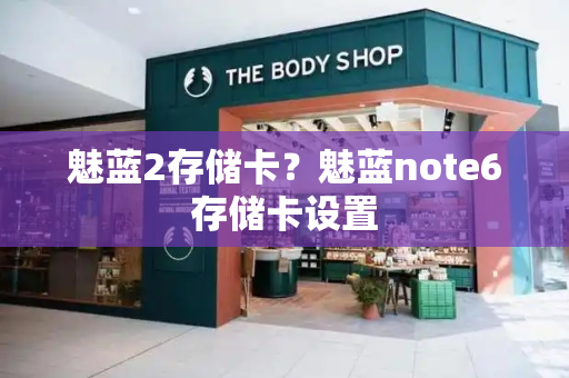 魅蓝2存储卡？魅蓝note6存储卡设置-第1张图片-星选测评