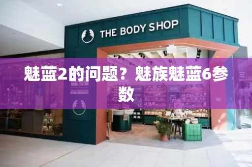 魅蓝2的问题？魅族魅蓝6参数