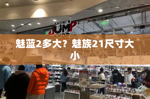 魅蓝2多大？魅族21尺寸大小-第1张图片-星选测评