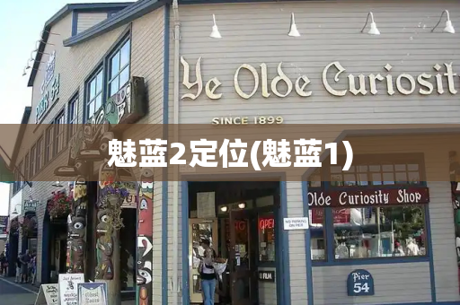魅蓝2定位(魅蓝1)