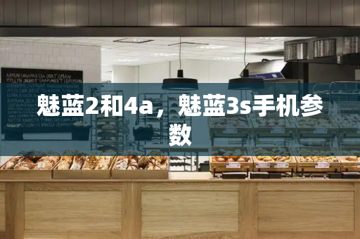魅蓝2和4a，魅蓝3s手机参数-第1张图片-星选测评