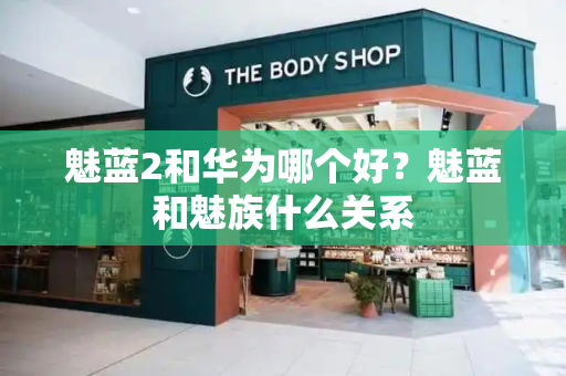 魅蓝2和华为哪个好？魅蓝和魅族什么关系