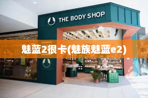 魅蓝2很卡(魅族魅蓝e2)-第1张图片-星选测评