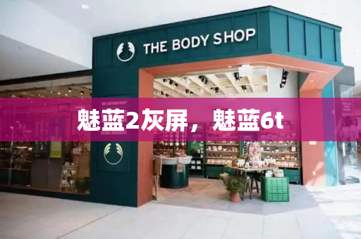 魅蓝2灰屏，魅蓝6t-第1张图片-星选测评