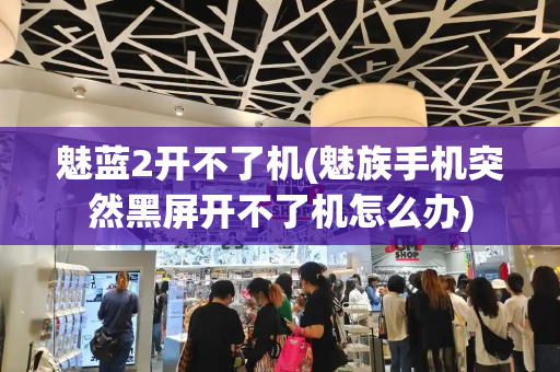 魅蓝2开不了机(魅族手机突然黑屏开不了机怎么办)-第1张图片-星选测评