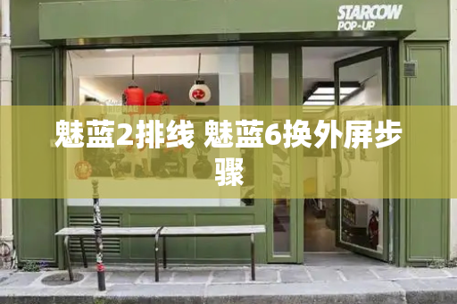 魅蓝2排线 魅蓝6换外屏步骤-第1张图片-星选测评