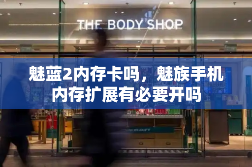 魅蓝2内存卡吗，魅族手机内存扩展有必要开吗-第1张图片-星选测评