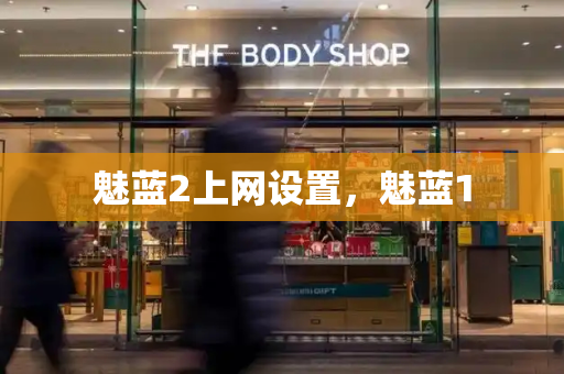 魅蓝2上网设置，魅蓝1-第1张图片-星选测评
