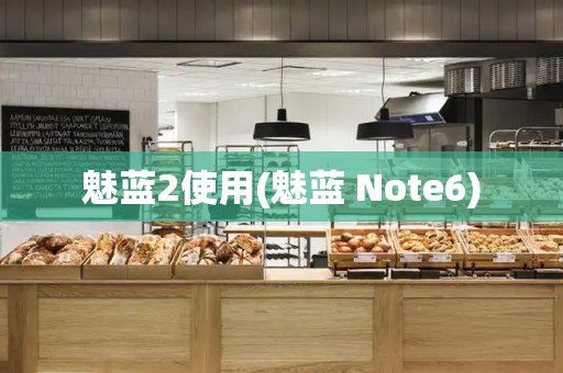 魅蓝2使用(魅蓝 Note6)-第1张图片-星选测评