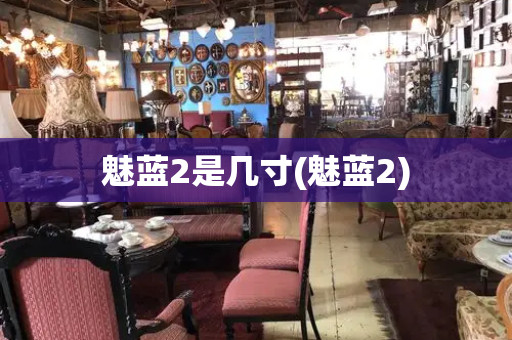 魅蓝2是几寸(魅蓝2)-第1张图片-星选测评