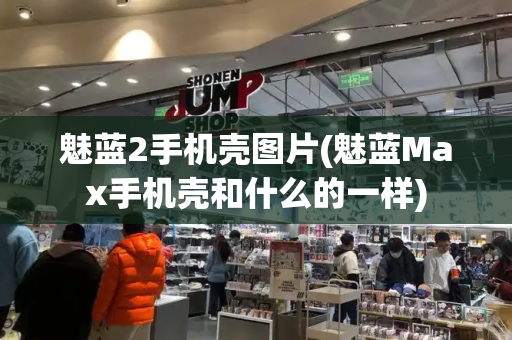 魅蓝2手机壳图片(魅蓝Max手机壳和什么的一样)-第1张图片-星选测评