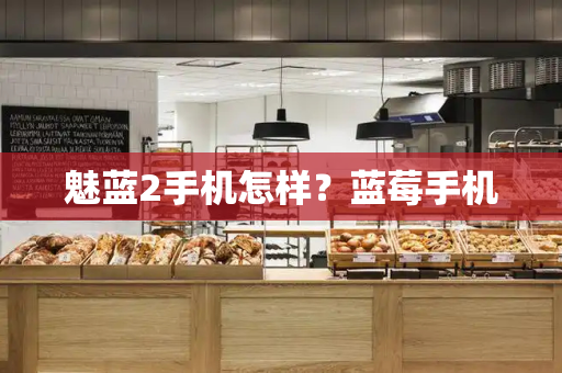 魅蓝2手机怎样？蓝莓手机-第1张图片-星选测评