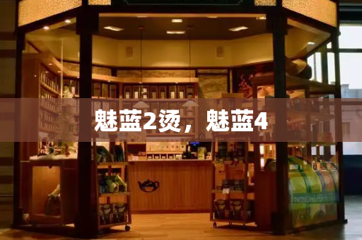 魅蓝2烫，魅蓝4-第1张图片-星选测评