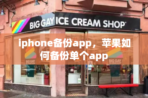 iphone备份app，苹果如何备份单个app
