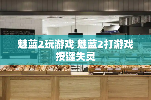 魅蓝2玩游戏 魅蓝2打游戏按键失灵