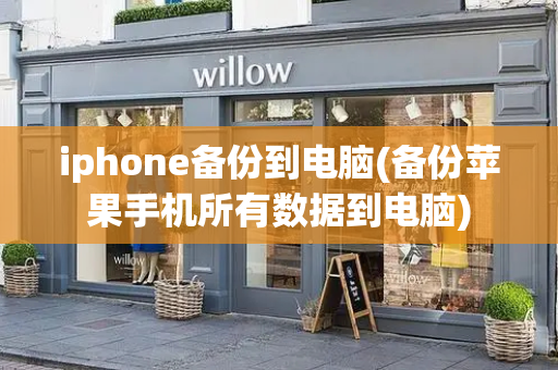 iphone备份到电脑(备份苹果手机所有数据到电脑)-第1张图片-星选测评