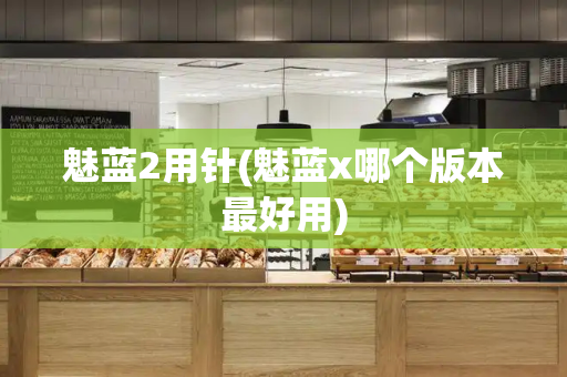 魅蓝2用针(魅蓝x哪个版本最好用)
