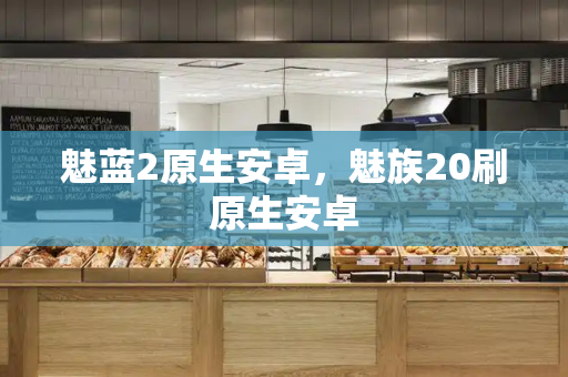 魅蓝2原生安卓，魅族20刷原生安卓
